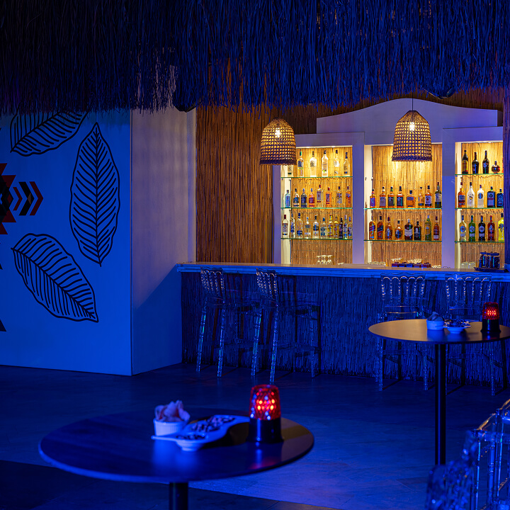 Free Zone Disco Bar