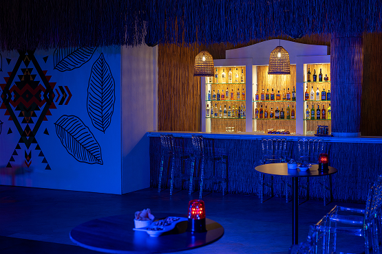 Free Zone Disco Bar